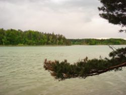 2013-05-19_Iffeldorf_Aiderbichl (88).JPG